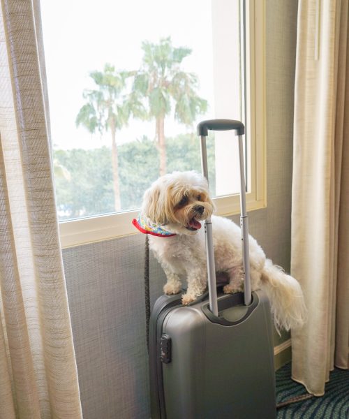 563316218_18432325561100043_6802946190430953131_n